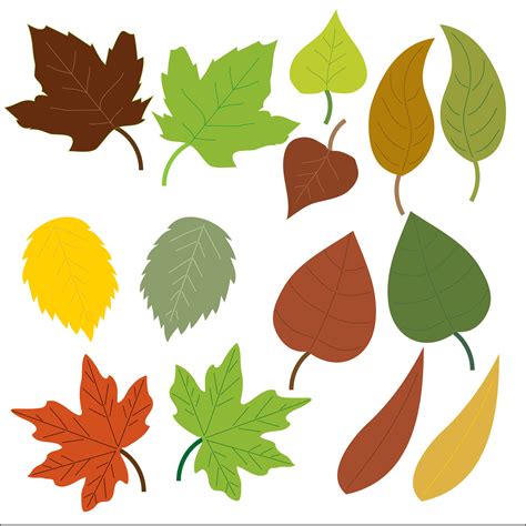 clip art leaves